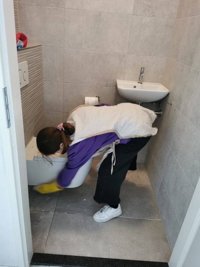 How Luxenttoyage Ensures Safe, Pet-Friendly Cleaning